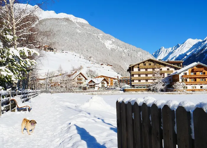 索尔登公园酒店 酒店